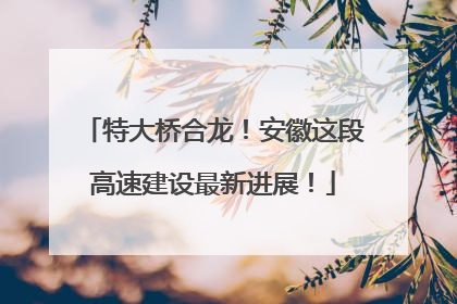 特大桥合龙！安徽这段高速建设最新进展！